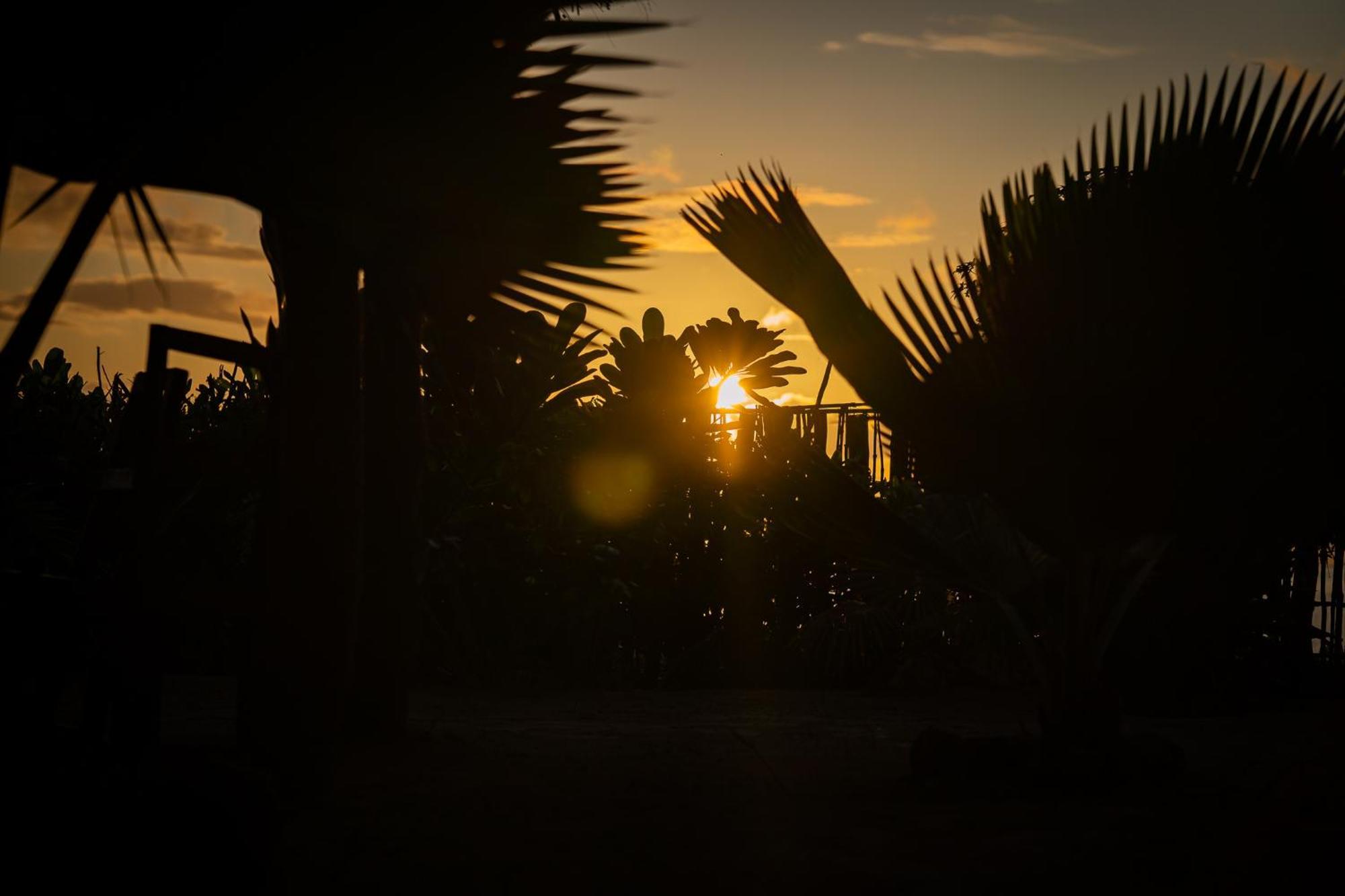 גאמביאני Pili Pili Beach Bungalows מראה חיצוני תמונה